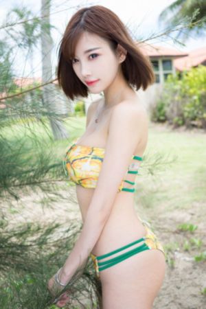 菜鸟总动员_BD超清免费观看
