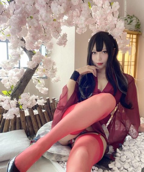 www视频免费_DVD全集免费观看