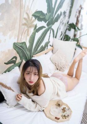乱轮家族_免费高清观看